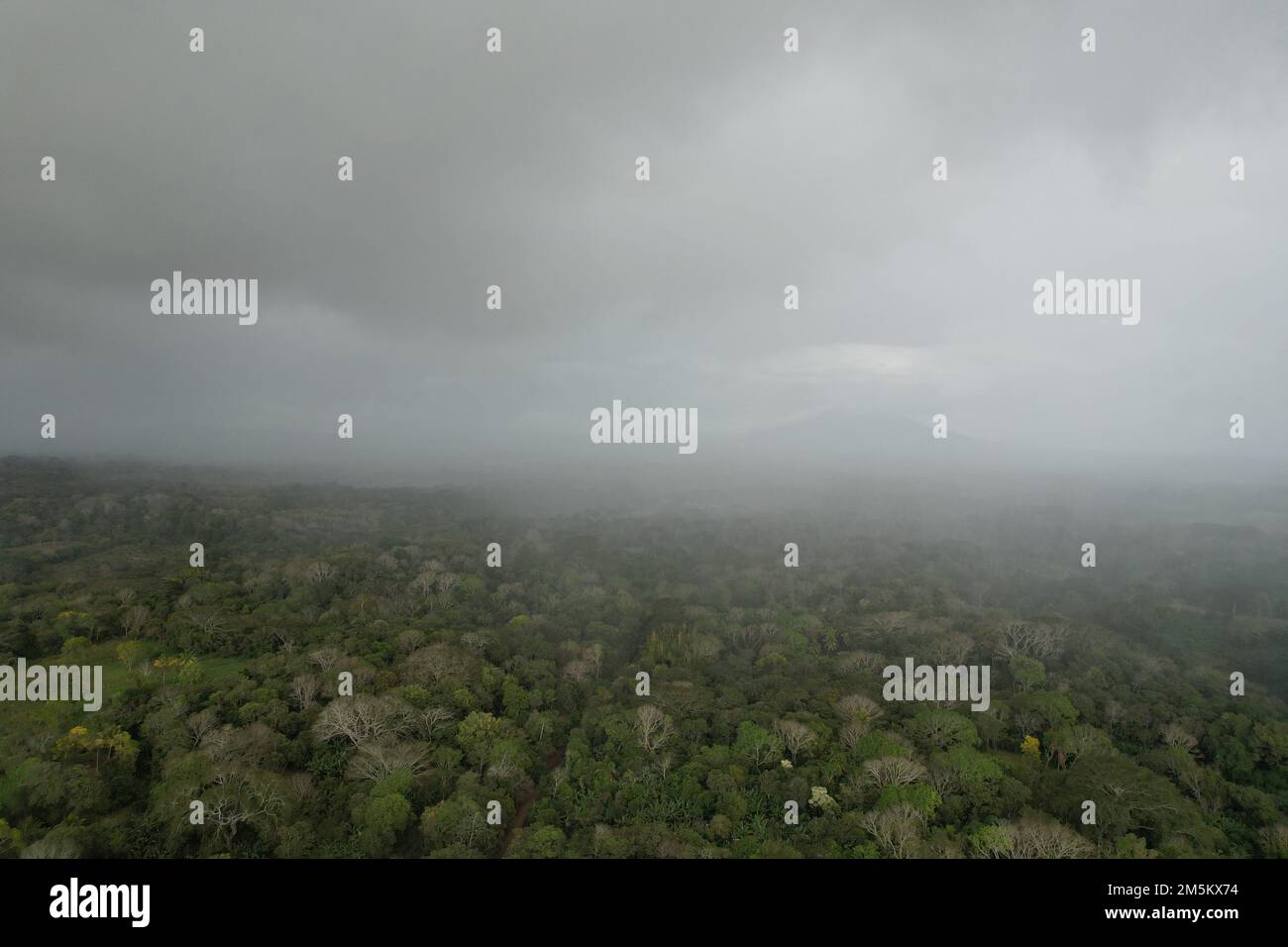 Nuvola di pioggia sulla foresta tropicale vista aerea drone Foto Stock