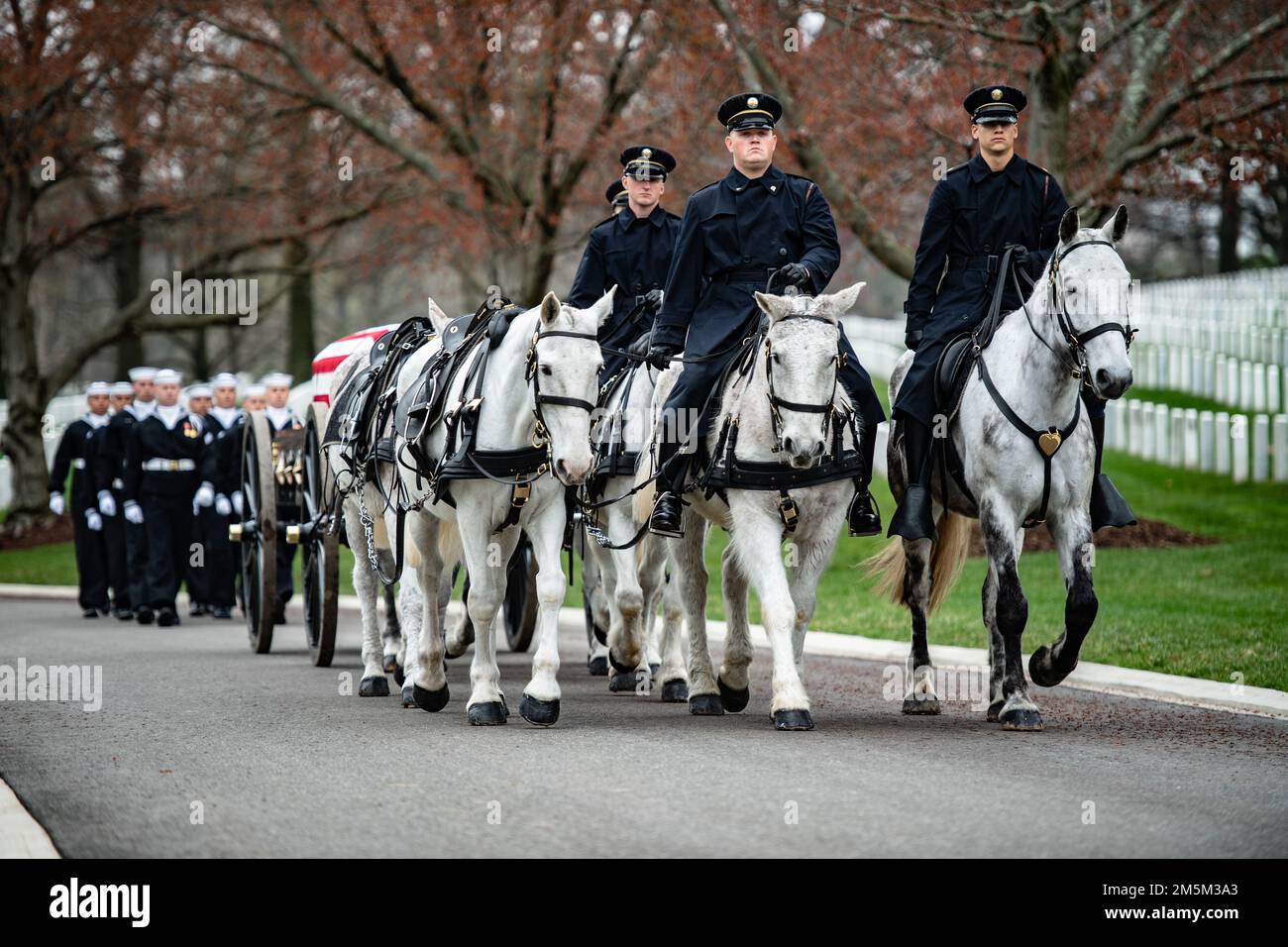 Il modello 3D U.S. Reggimento di fanteria (la vecchia guardia) Caisson Platoon sostiene gli onori funebri militari con scorta funebri per gli Stati Uniti Navy Seaman 1st Classe Walter Stein nella Sezione 36 del Cimitero Nazionale di Arlington, Arlington, Virginia, 24 marzo 2022. Stein è stato ucciso durante l'attacco a Pearl Harbor mentre serviva a bordo della USS Oklahoma. Dal comunicato stampa della Defense POW/mia Accounting Agency (DPAA): Il 7 dicembre 1941 Stein fu assegnato alla nave da guerra USS Oklahoma, ormeggiata a Ford Island, Pearl Harbor, quando la nave fu attaccata da aerei giapponesi. La USS Oklahoma ha sostenuto più a. Foto Stock