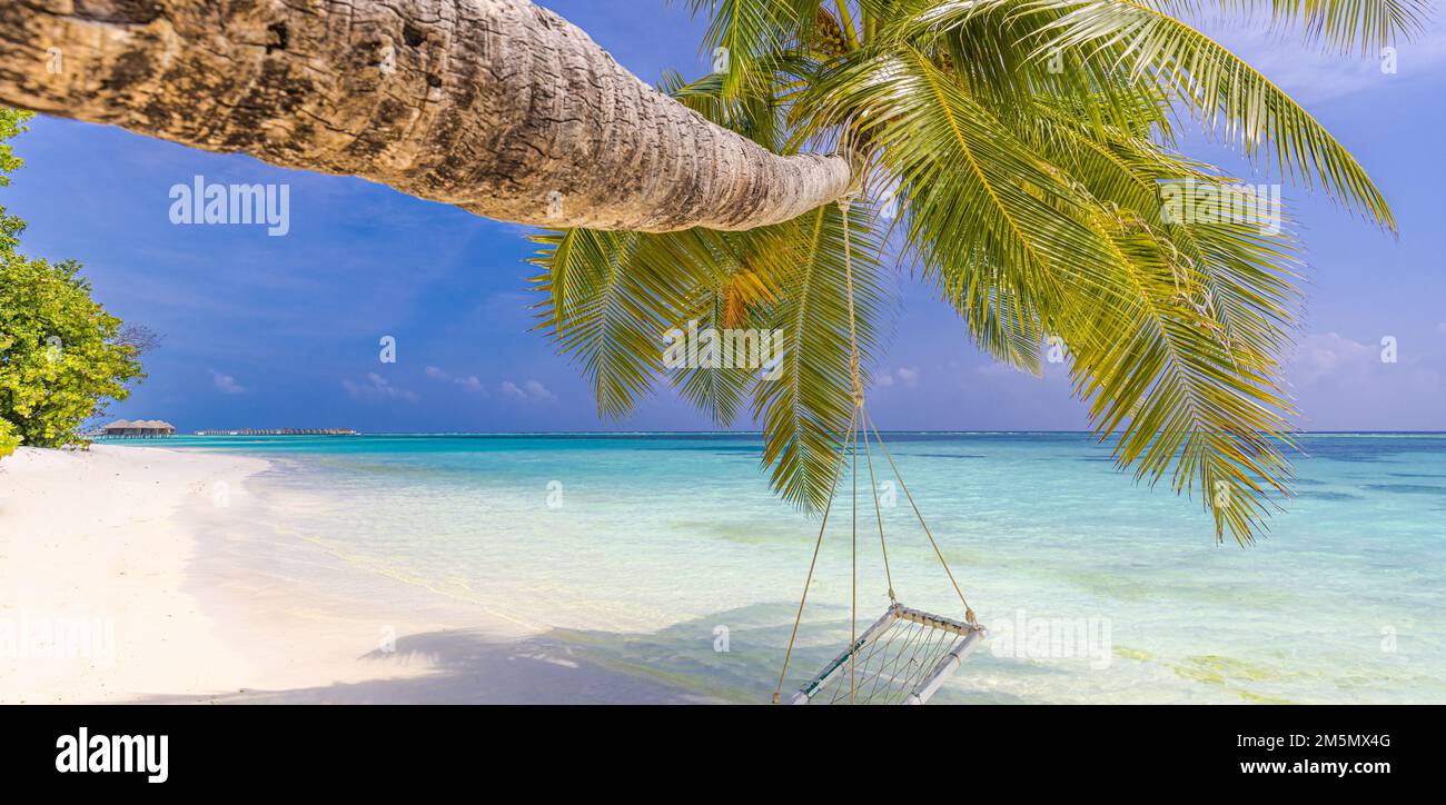 Spiaggia tropicale paradiso panoramico. Paesaggio estivo dell'isola, altalena o amaca sulla palma. Mare sabbia cielo come spiaggia serena. Vacanza panoramica sulla spiaggia di lusso Foto Stock