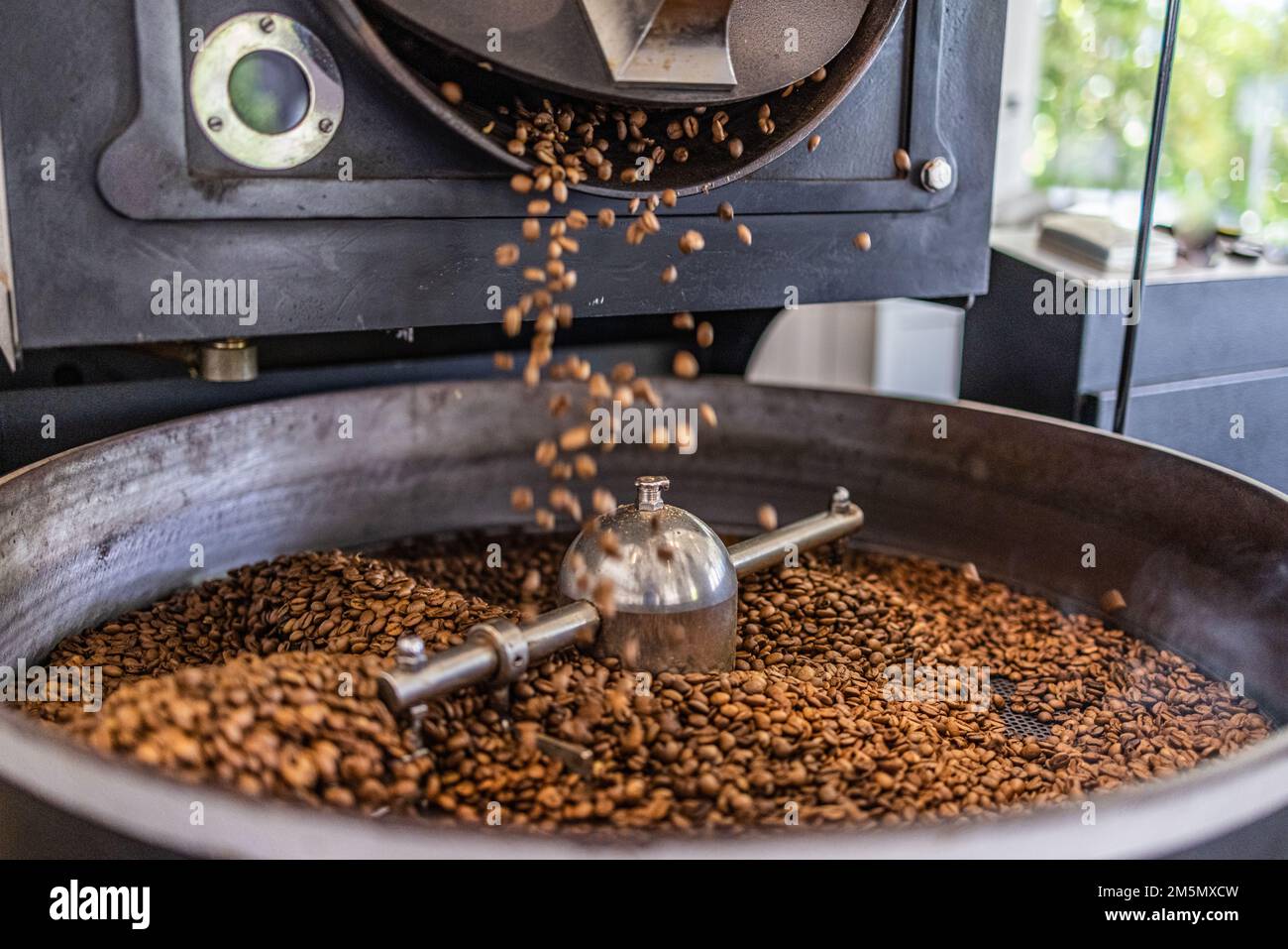 Chicchi di caffè naturali appena tostati, che si gettano a cascata dalla torrefazione industriale dei chicchi di caffè all'interno della caffetteria. Raffreddamento in macchina da torrefazione vuota Foto Stock