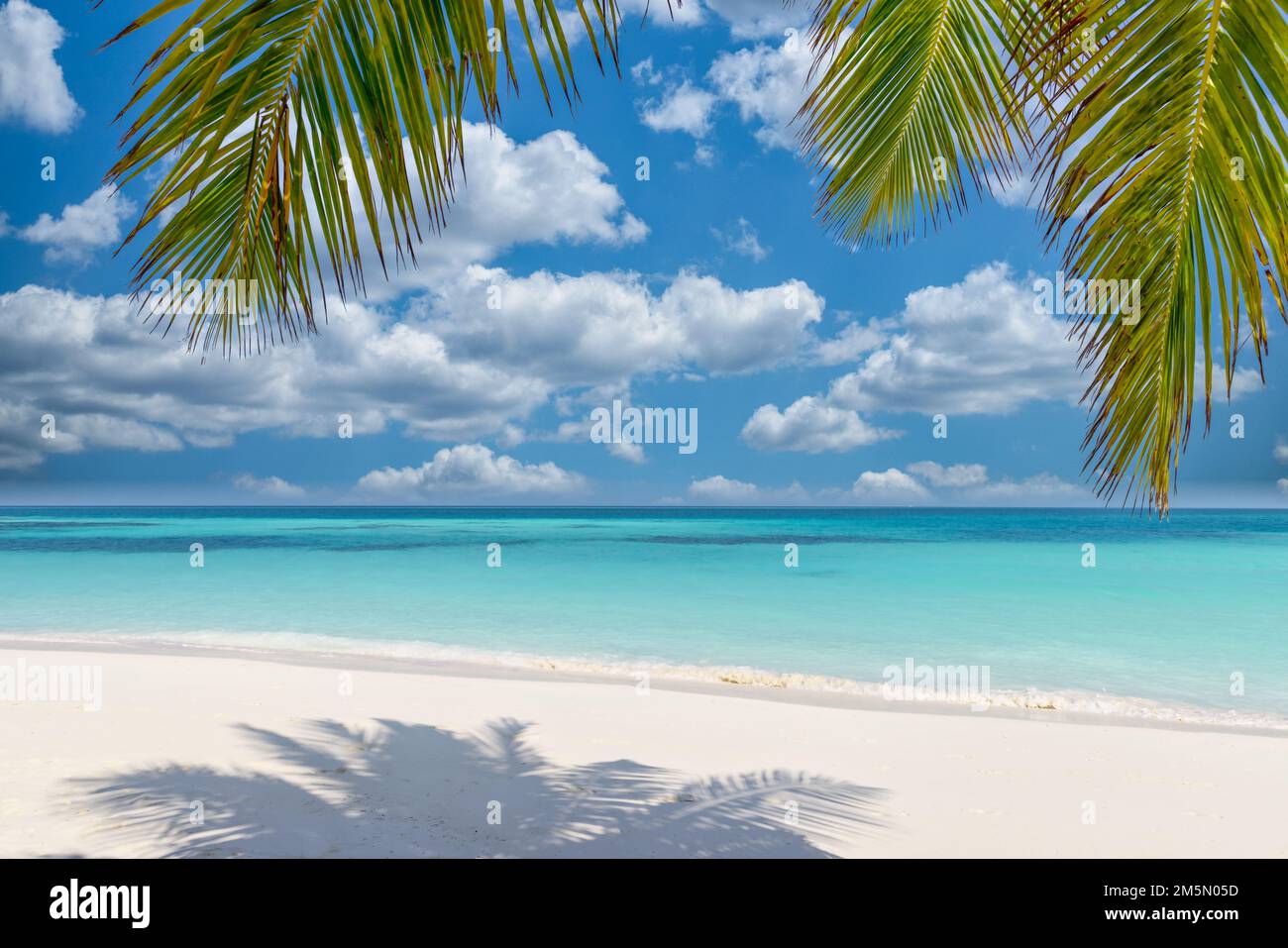Paesaggio estivo della spiaggia. Vacanza sfondo natura, belle foglie di palma con calma rilassante mare blu sotto cielo nuvoloso. Perfetto tropicale tranquillo Foto Stock