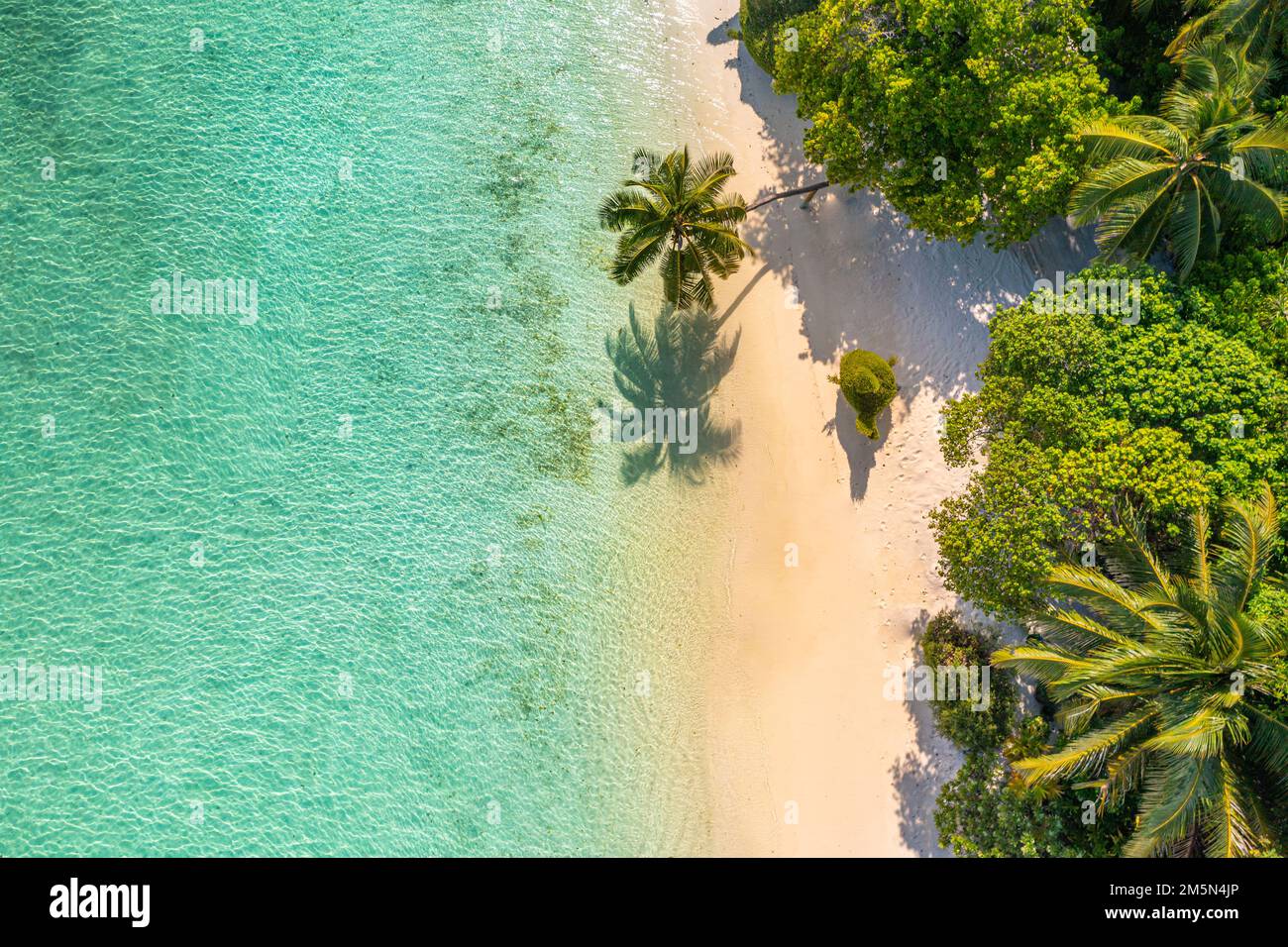 Vista panoramica aerea delle palme tropicali estive, ombre sulla costa sabbiosa, onde oceaniche che si infrangono. Splendida vista dall'alto, soleggiata costa del mare, esotica, incredibile Foto Stock