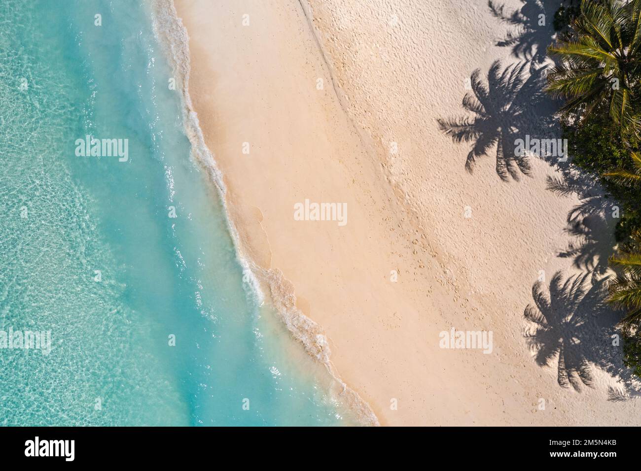 Vista panoramica aerea delle palme tropicali estive, ombre sulla costa sabbiosa, onde oceaniche che si infrangono. Splendida vista dall'alto, soleggiata costa del mare, esotica, incredibile Foto Stock