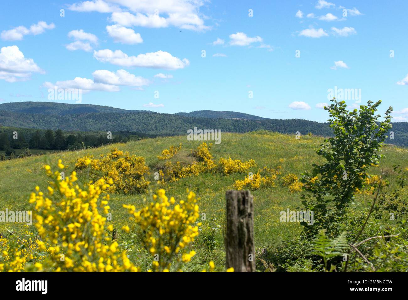 Paesaggi dell'alta Saône - Borgogna Franca Contea - Francia Foto Stock