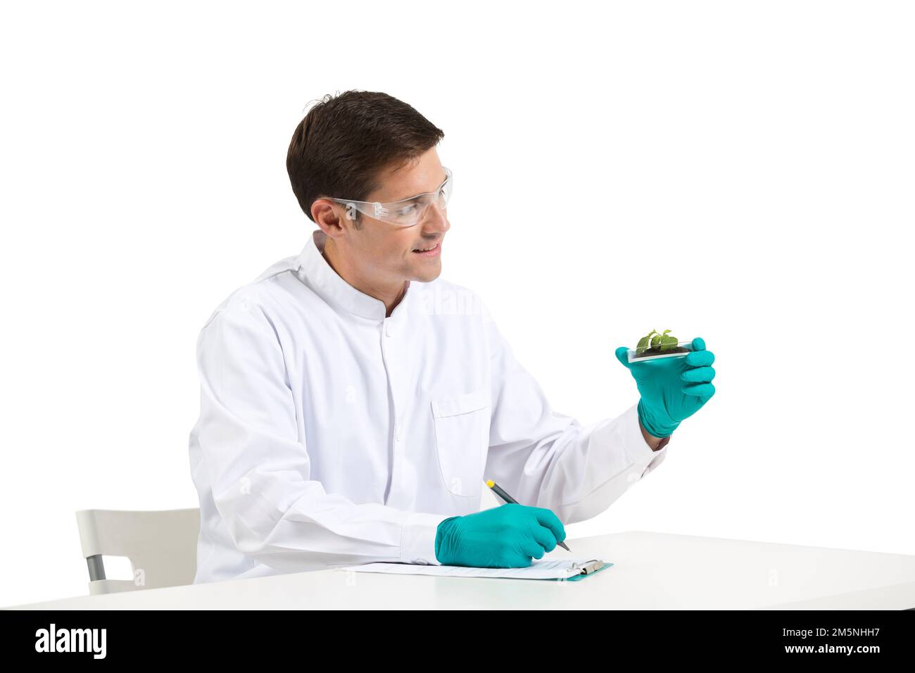Scienziati maschi stranieri nel laboratorio per studiare la pianta Foto Stock