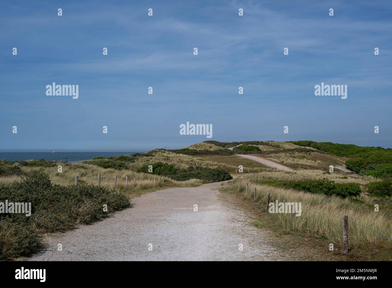 Una strada sterrata attraverso il paesaggio delle dune a Domburg, nei Paesi Bassi Foto Stock