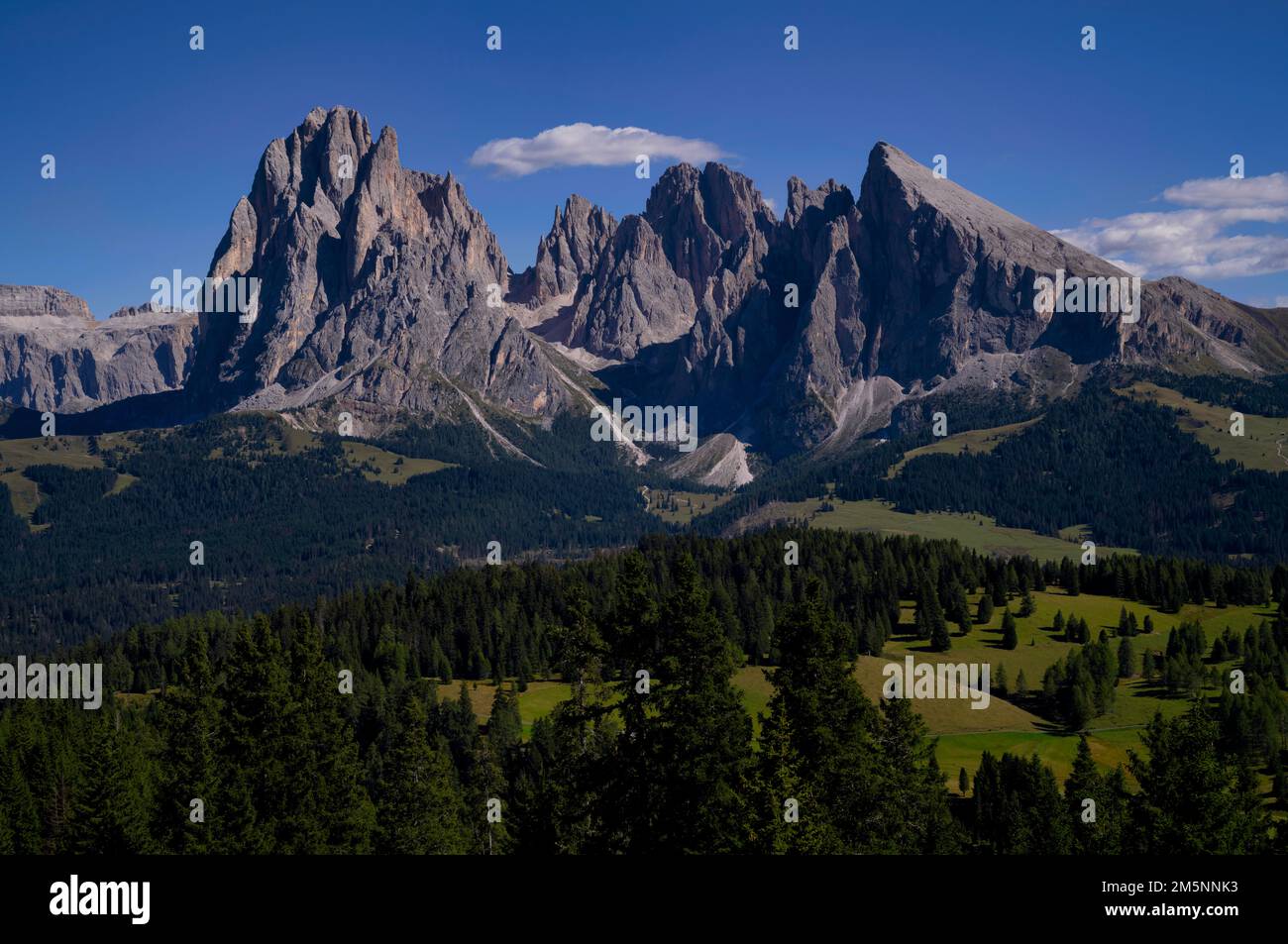 Langkofel e Plattkofel, Alpe di Siusi, Alto Adige, Italia Foto Stock