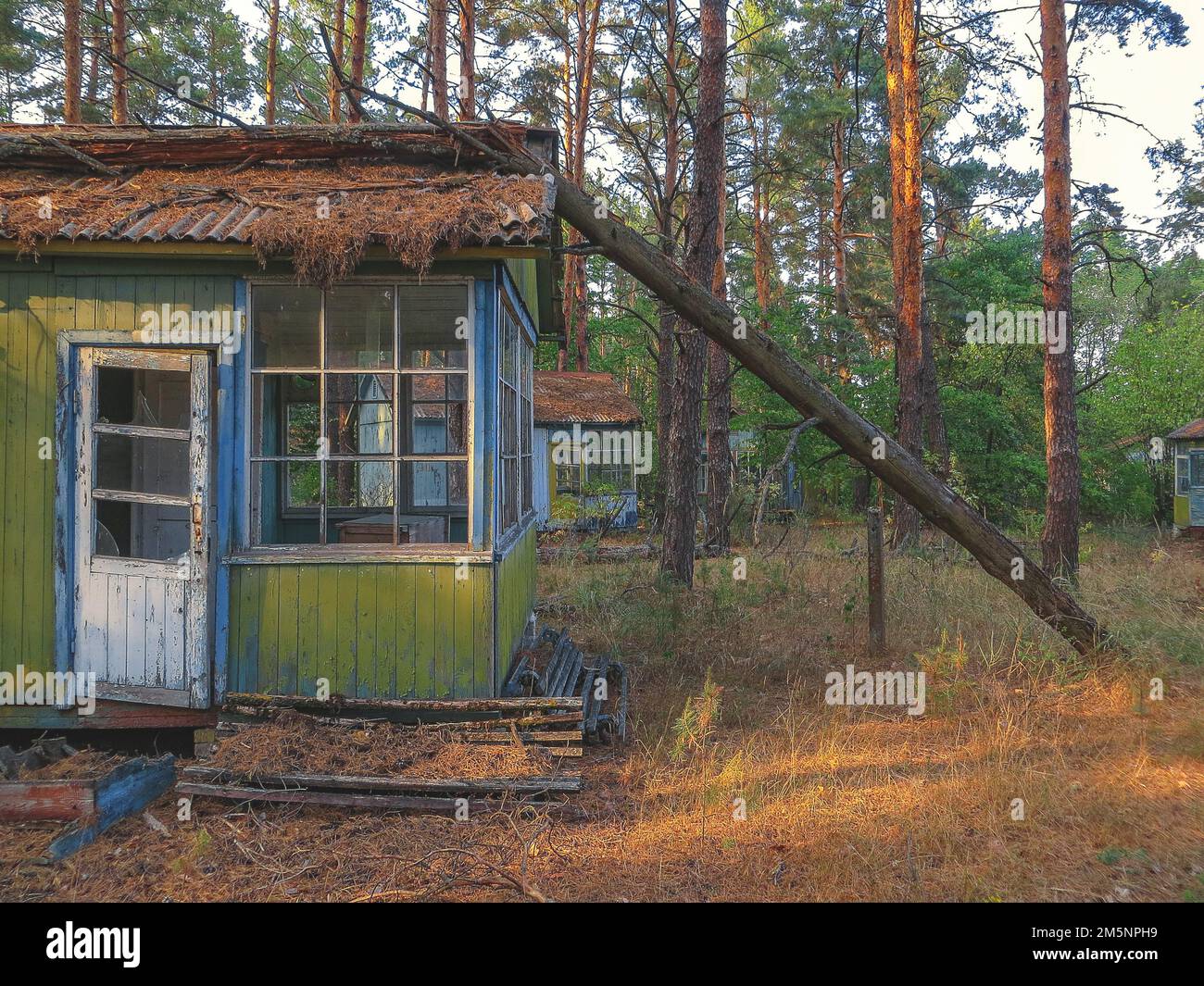 Bungalow nella foresta, Isumrudnyi campo di vacanza per bambini, Lost Place, Cernobyl zona di esclusione, Ucraina, Europa orientale Foto Stock