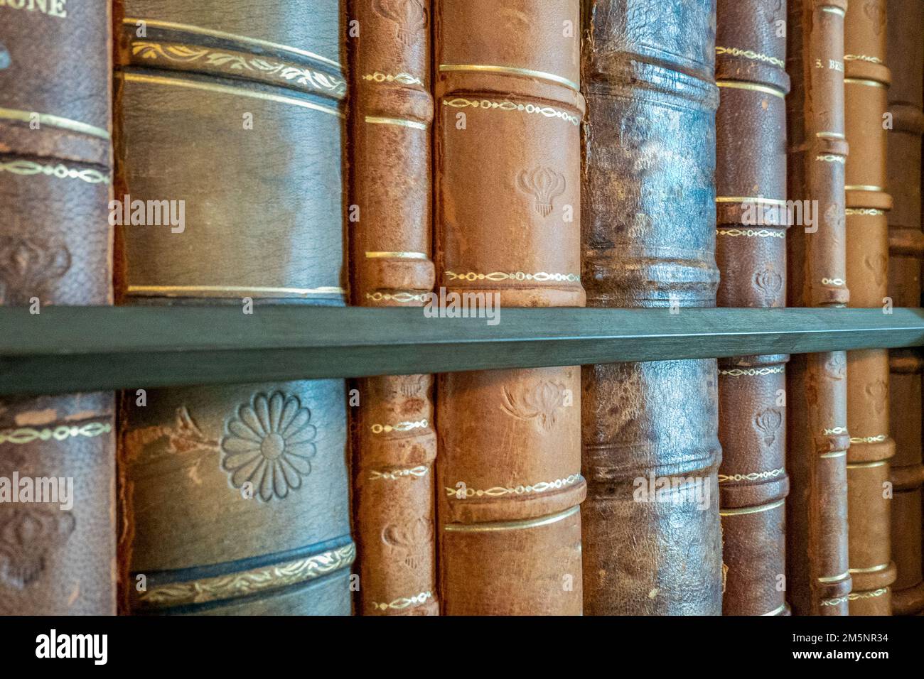 Libri vecchi in libreria vecchia Foto Stock