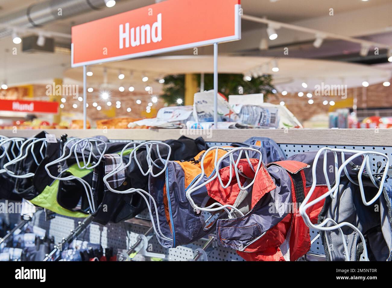 Imbracatura per cani, filiale Futterhaus, Buxtehude, bassa Sassonia, Germania Foto Stock