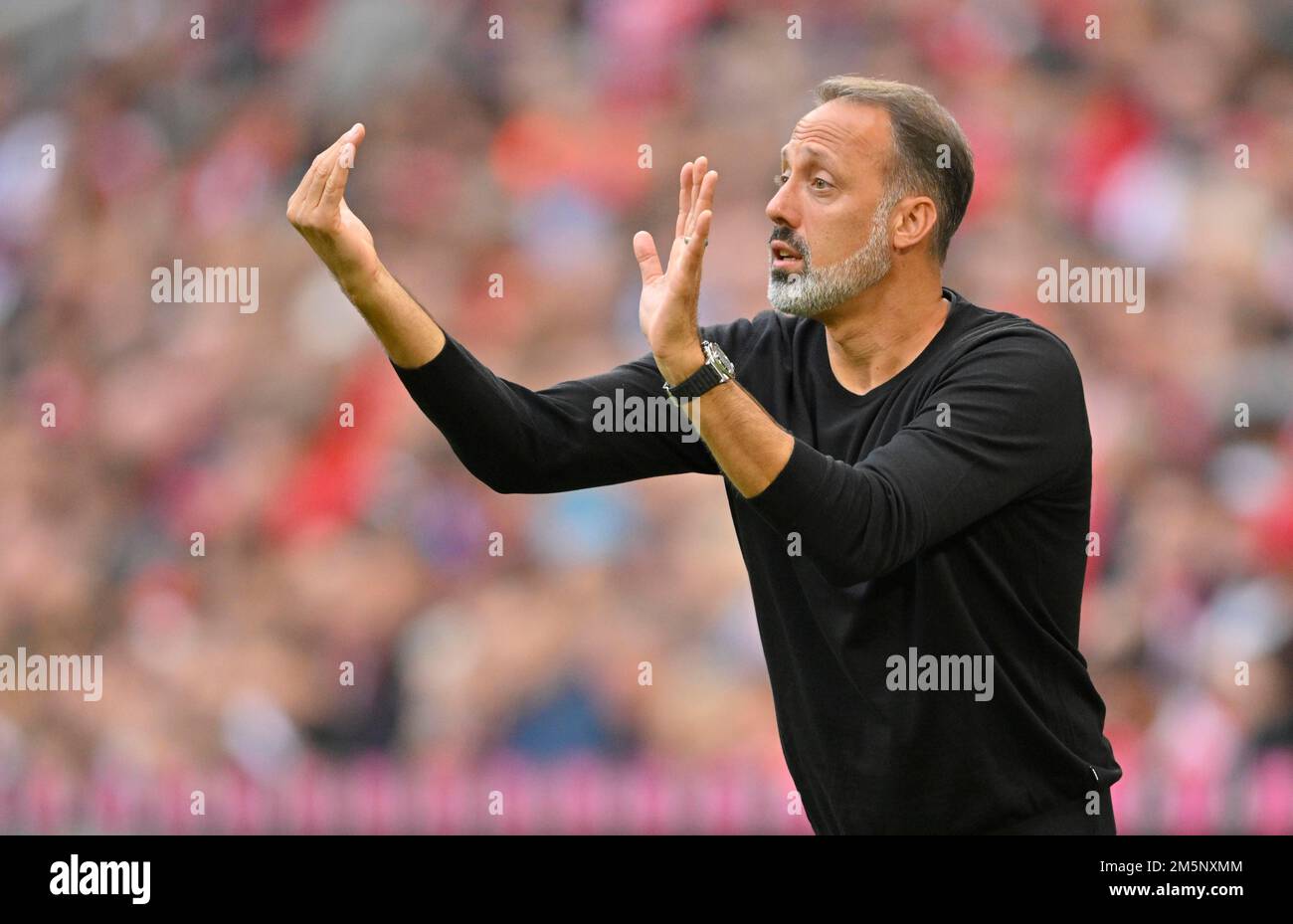 Pullman Pellegrino Matarazzo VfB Stuttgart, Gesture, Allianz Arena, Monaco, Baviera, Germania Foto Stock