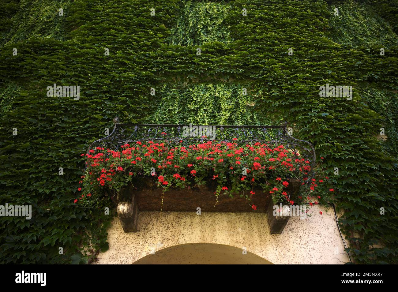 Balcone con edera, cortile dell'abbazia, monastero dei canoni agostiniani, monastero di Neustift, anche abbazia, Vahrn vicino Bressanone, Bressanone, Sud Foto Stock