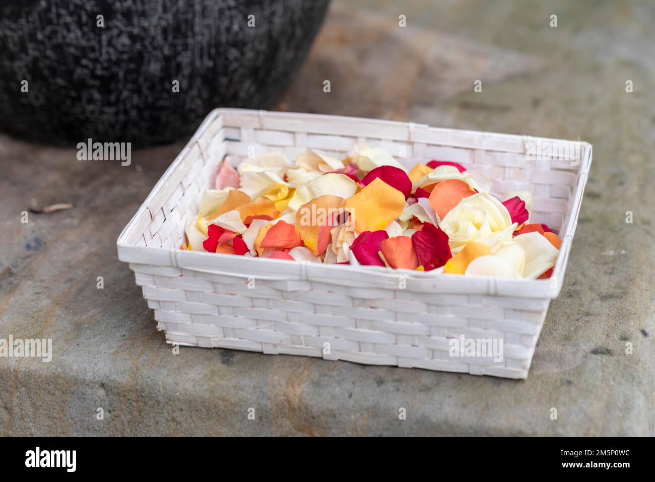 Petali di rosa, cerimonia nuziale, nozze, Germania Foto Stock