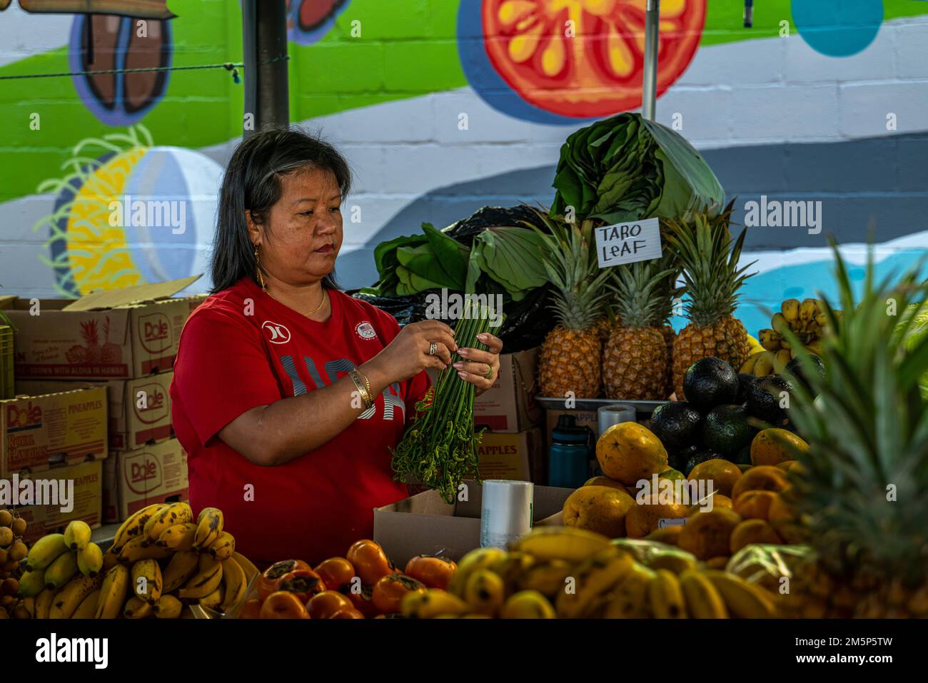 MARKETPLACE HILO HAWAII HAWAII USA Foto Stock