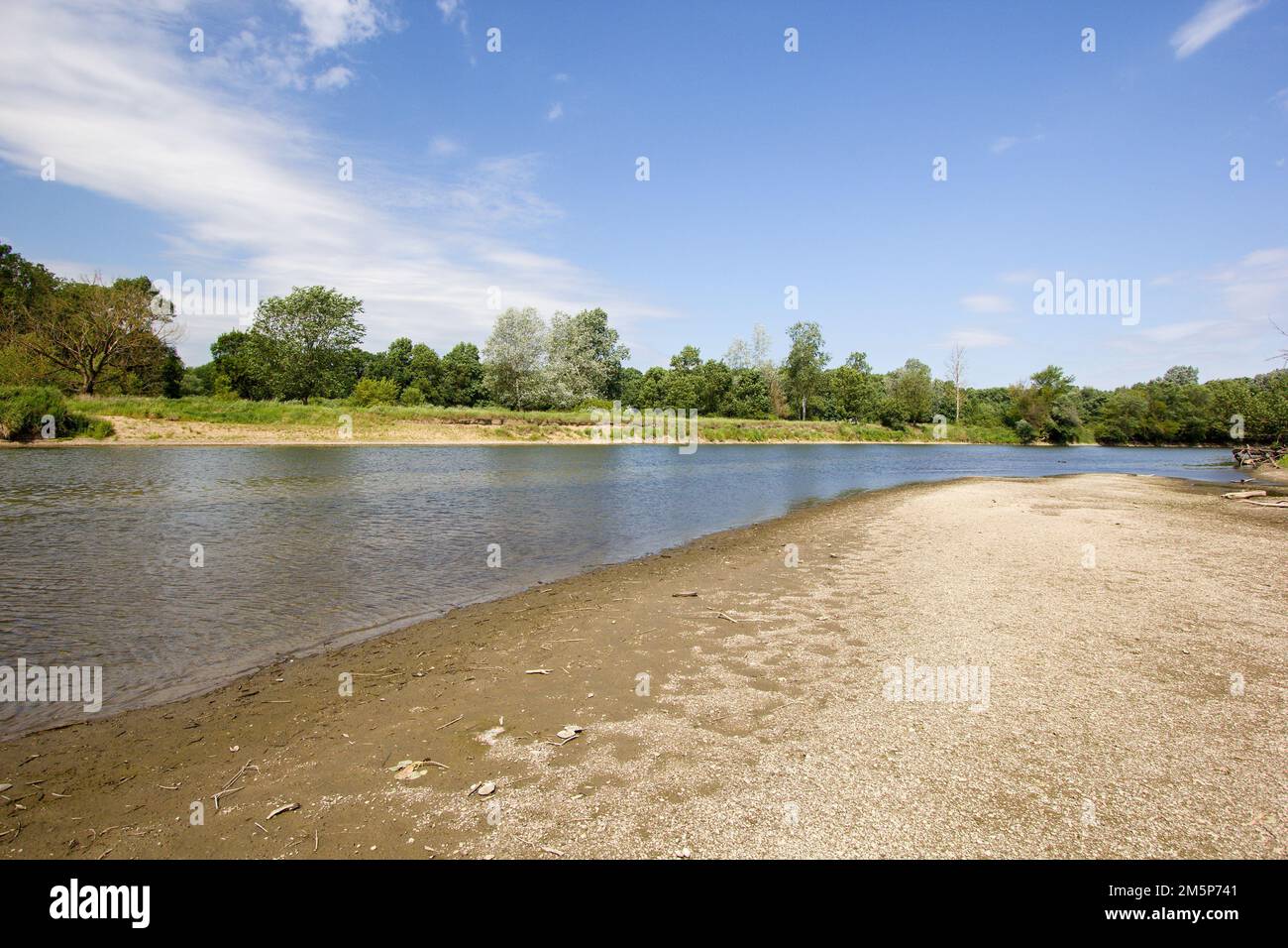 Il fiume Morava - marcia vicino a Marchegg in Austria e confine slovacco. Spiaggia di ghiaia sul fiume in Europa con linee di alberi. Foto Stock