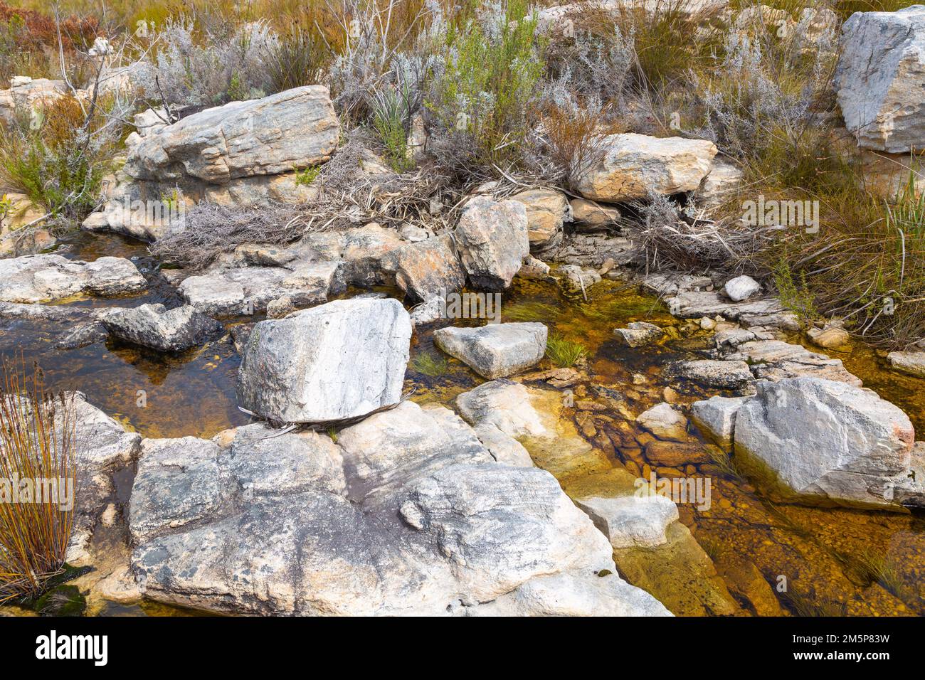Alcune rocce lungo una piccola piscina d'acqua nelle montagne vicino Porterville nel Capo occidentale del Sud Africa Foto Stock
