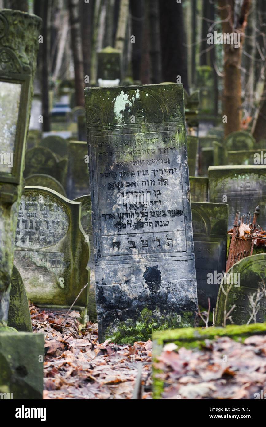 Varsavia, Polonia - 27 dicembre 2022: Lapidi antiche e trascurate nel cimitero ebraico di Varsavia in Polonia. Foto Stock