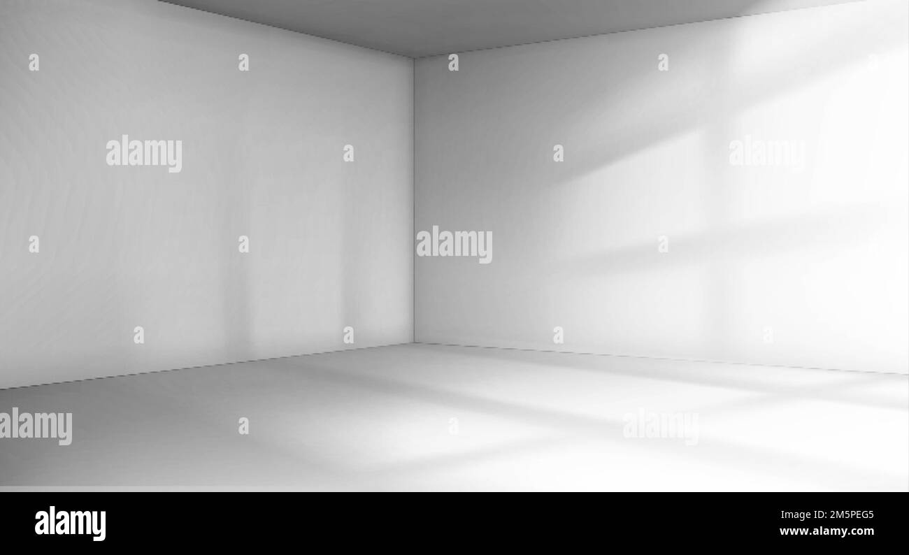 Angolo della sala con luce solare dalla finestra. Interno vuoto con pareti bianche, pavimento e soffitto. Hall, appartamento 3D sfondo con ombra di luce solare p Illustrazione Vettoriale