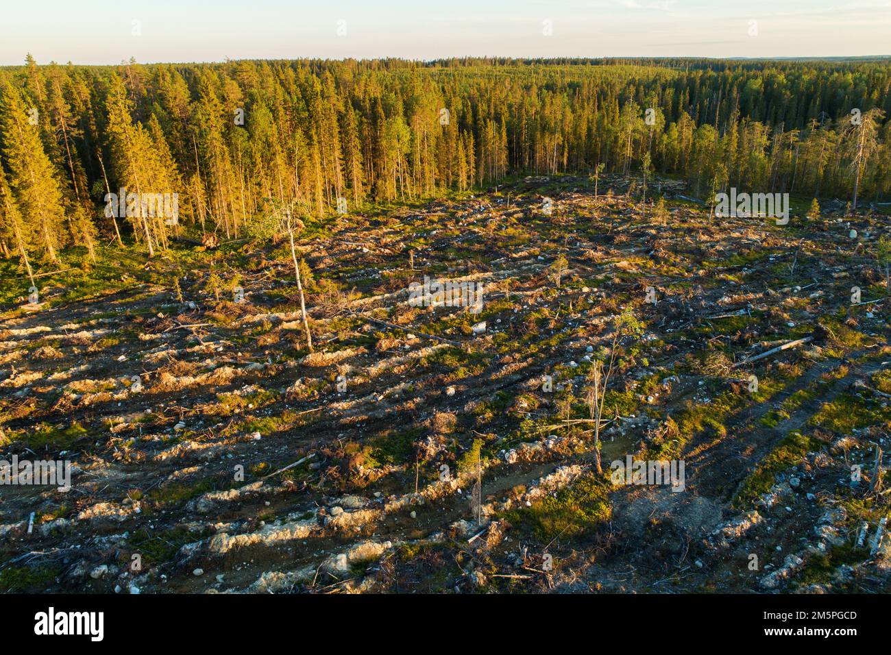 Una vista aerea di una zona mineralizzata di taglio chiaro vicino a una foresta vicino a Hossa, Finlandia settentrionale Foto Stock