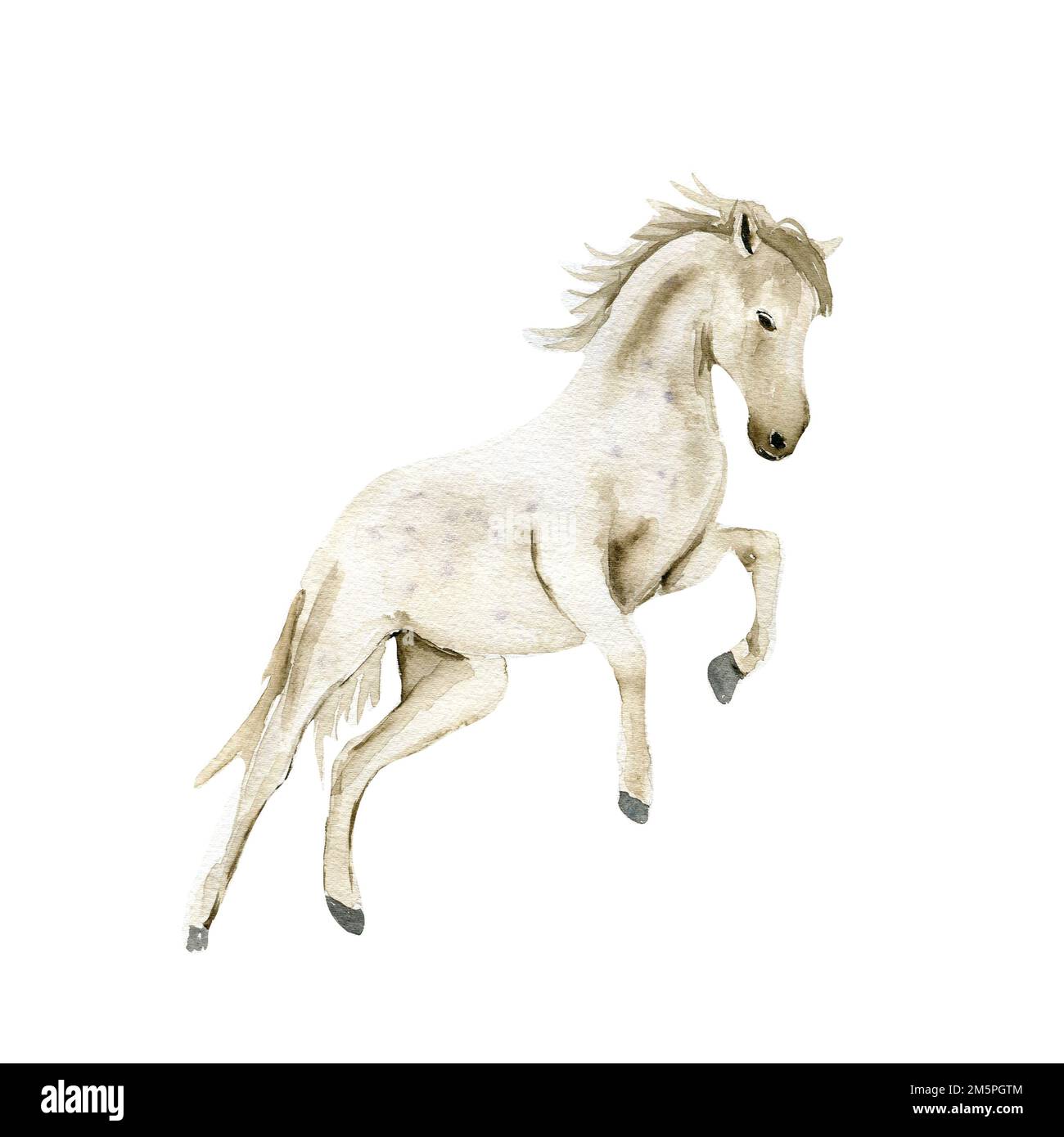 Acquerello disegnato a mano carino cavallo bianco su sfondo bianco. Esecuzione di un cavallo illustrazione. Acquerello di un cavallo da galoppo. Foto Stock