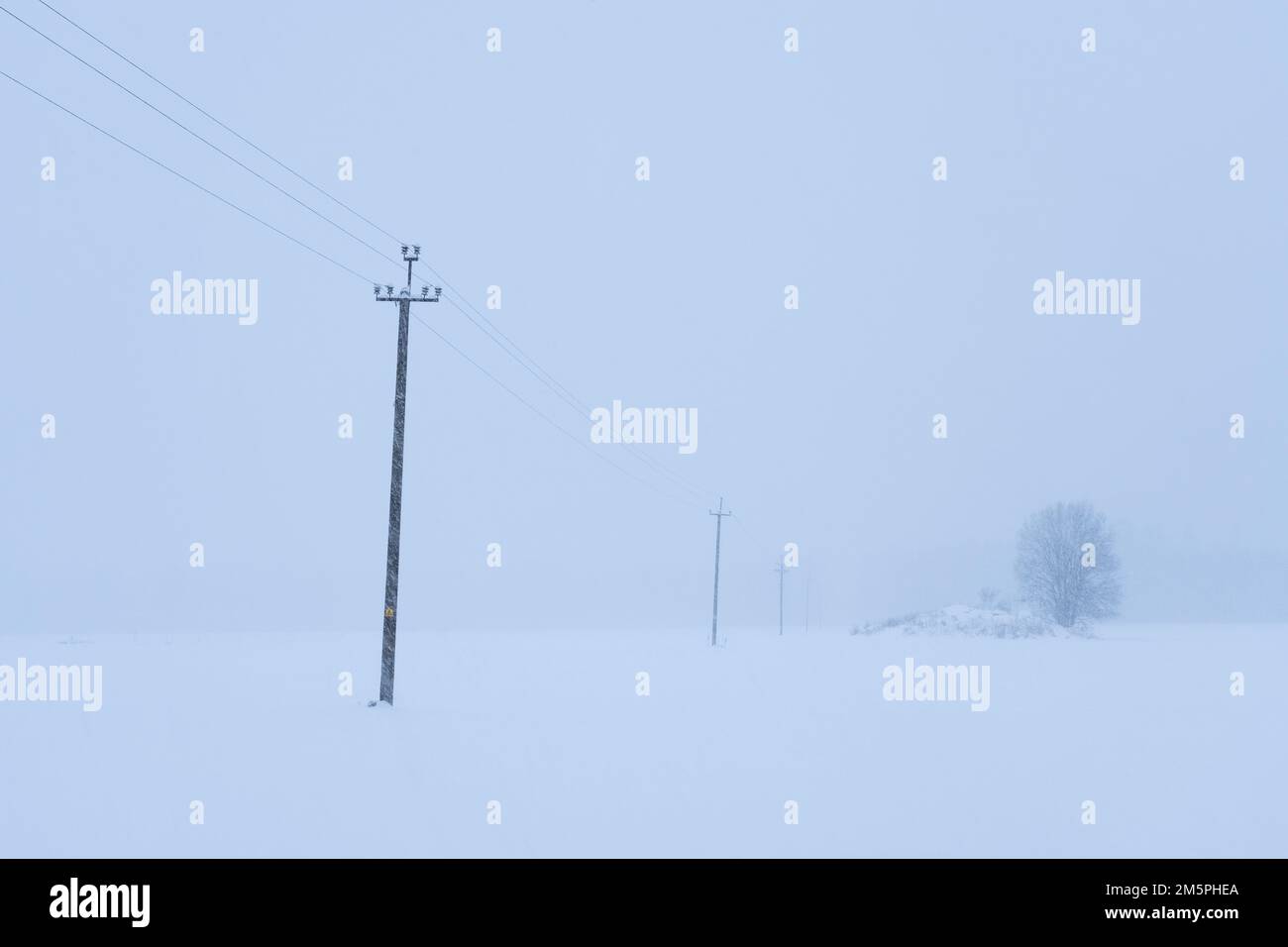 Linea elettrica aerea su un campo innevato durante un blizzard in Estonia, Nord Europa Foto Stock