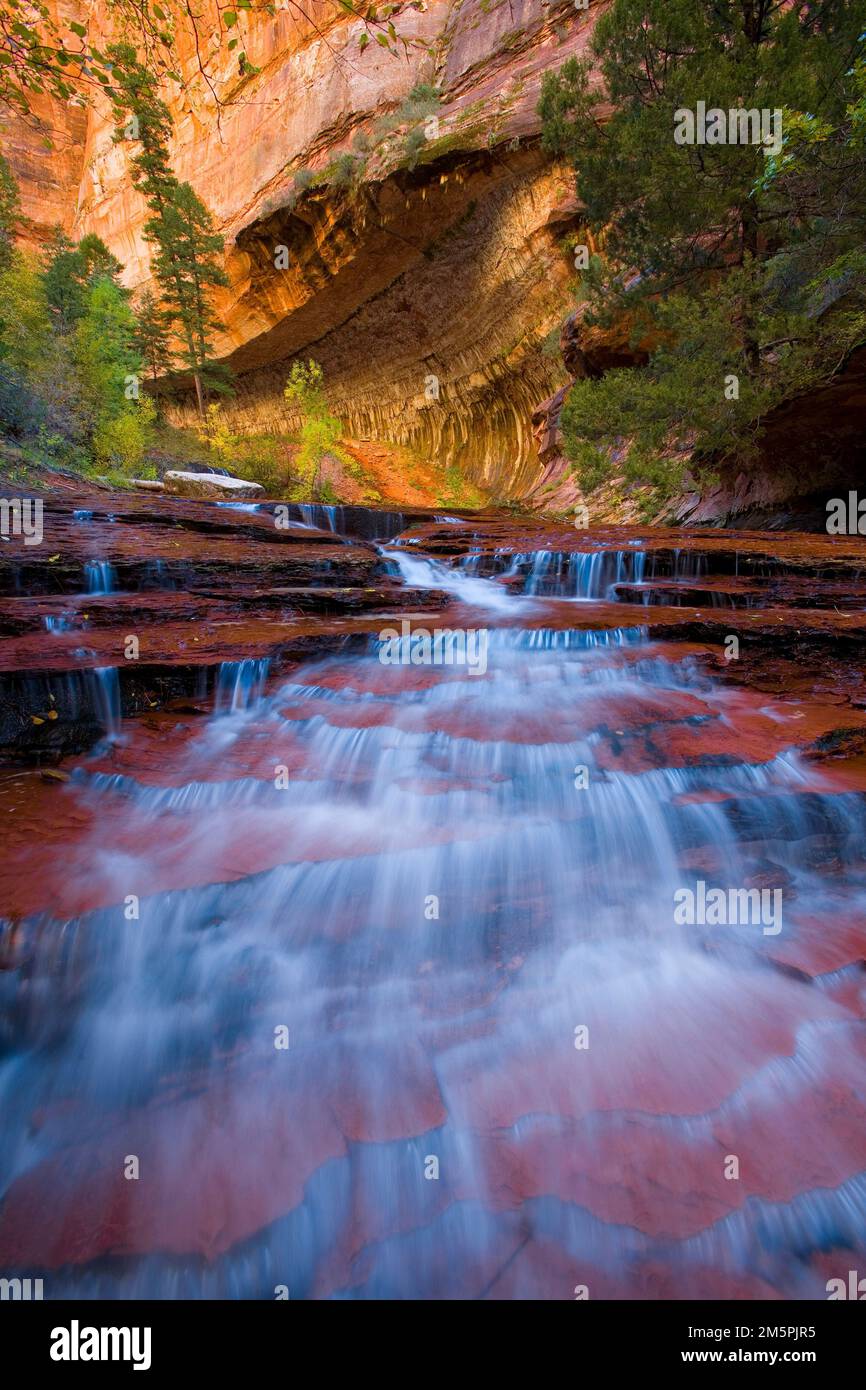 Una sfocatura verticale di una cascata nello Zion Canyon in una giornata di sole Foto Stock
