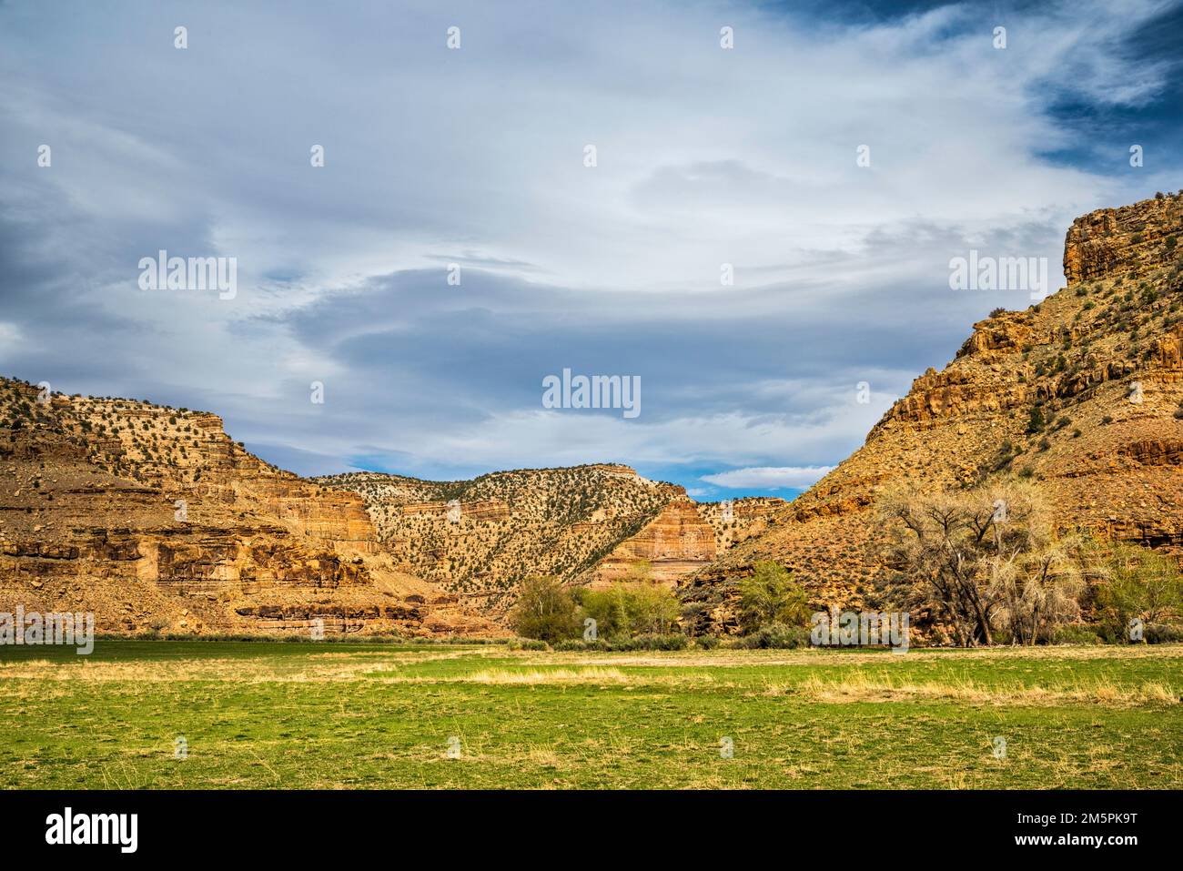 Formazioni rocciose di arenaria a Nine Mile Canyon, Utah, USA Foto Stock