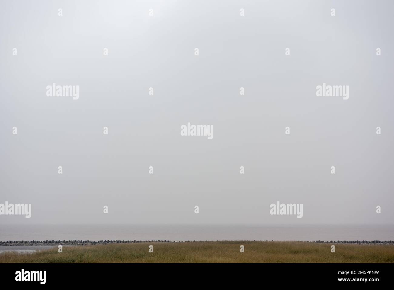 La vista del campo sullo sfondo del cielo grigio pallido Foto Stock