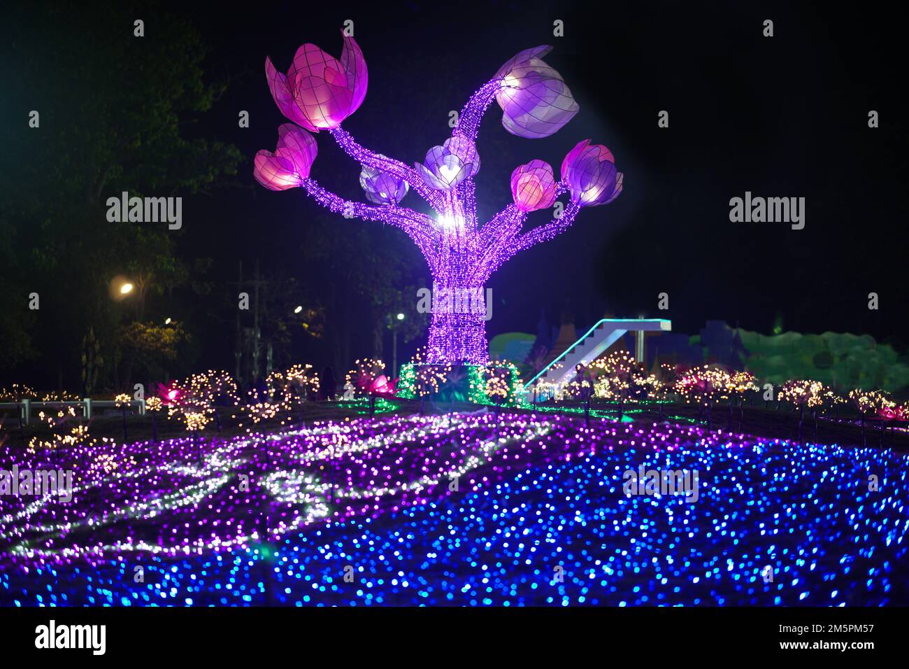 luce festosa decorazione su albero nel parco di notte. Festa di celebrazione Foto Stock