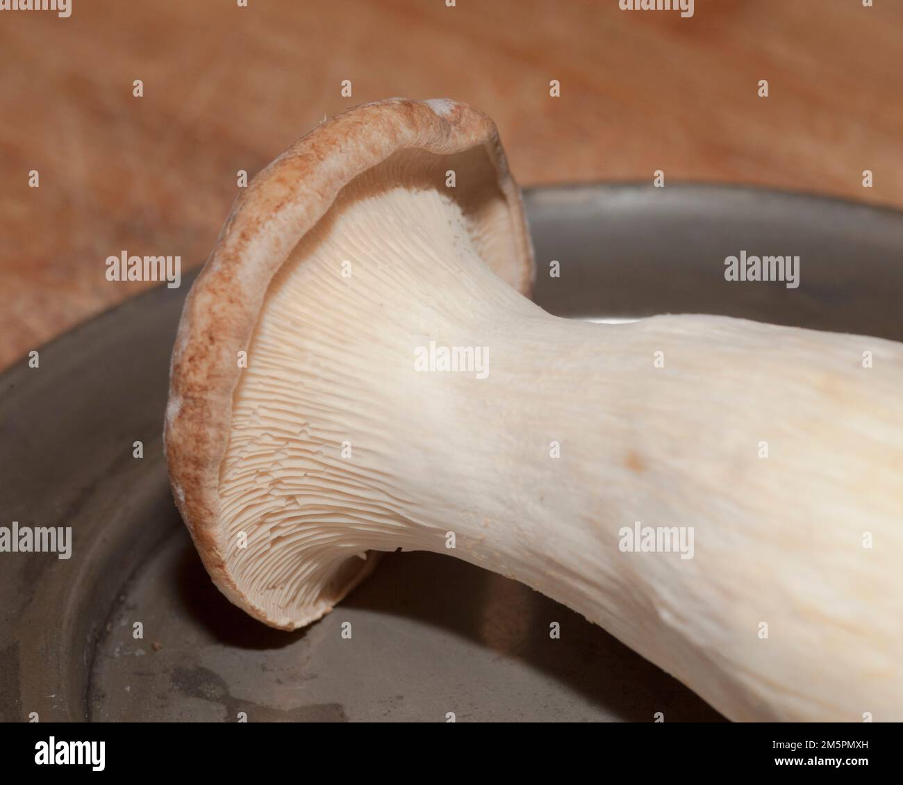 Grande fungo esotico sul tavolo da cucina piatto di peltro Foto Stock