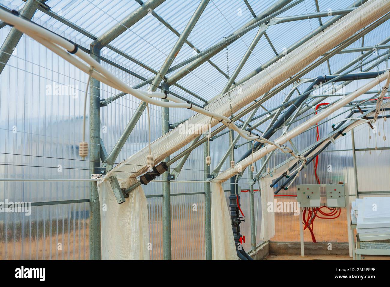 Green House Interni con impianti di n. Foto Stock