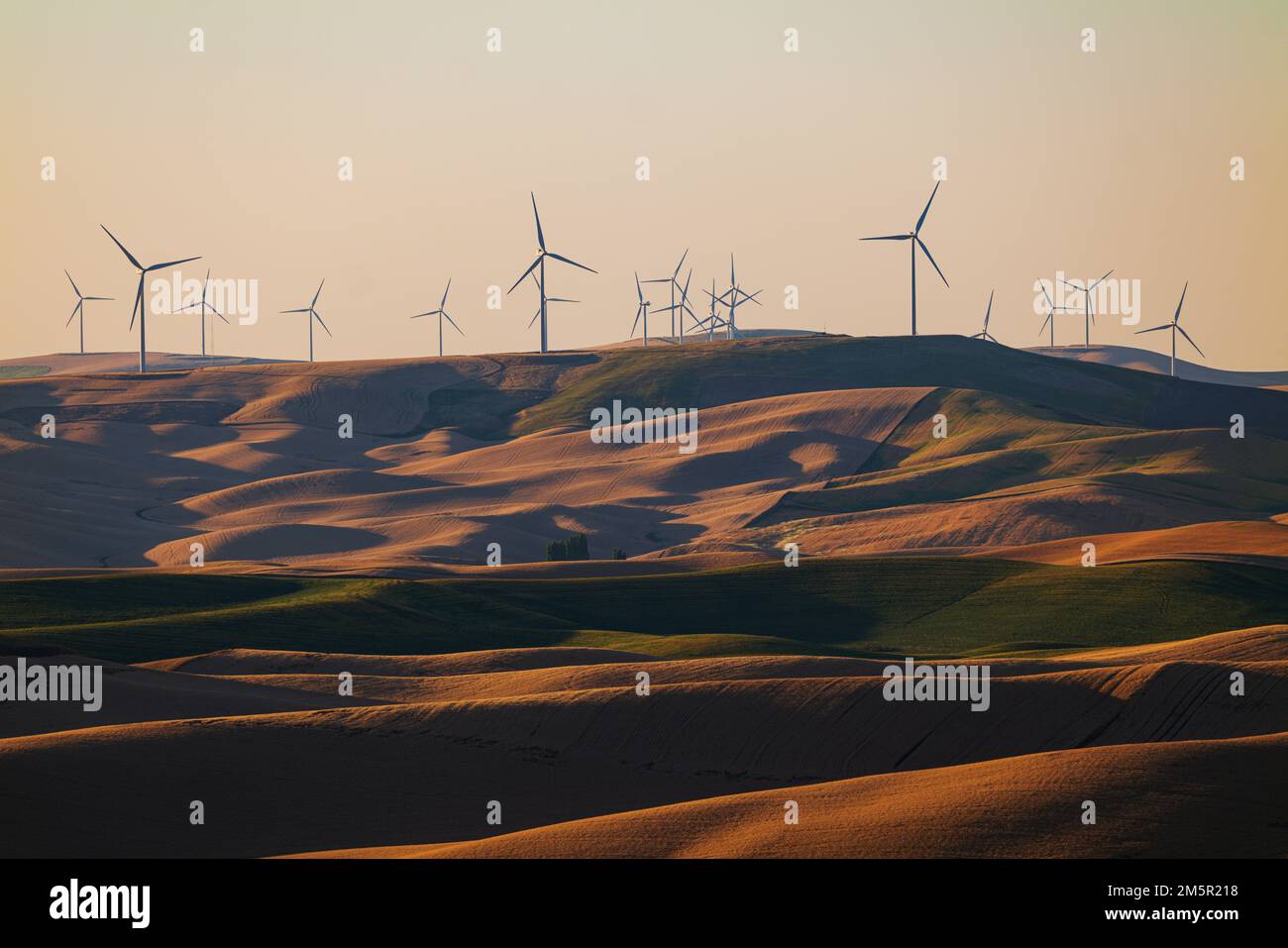 Mulini a vento al tramonto in cima a terreni agricoli ondulati; regione di Palouse; stato di Washington; Stati Uniti Foto Stock