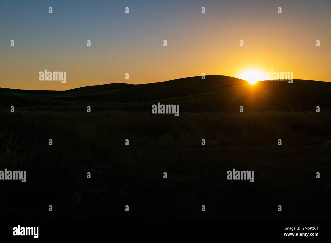 Splendido tramonto su campi agricoli ondulati; regione di Palouse; stato di Washington; Stati Uniti Foto Stock