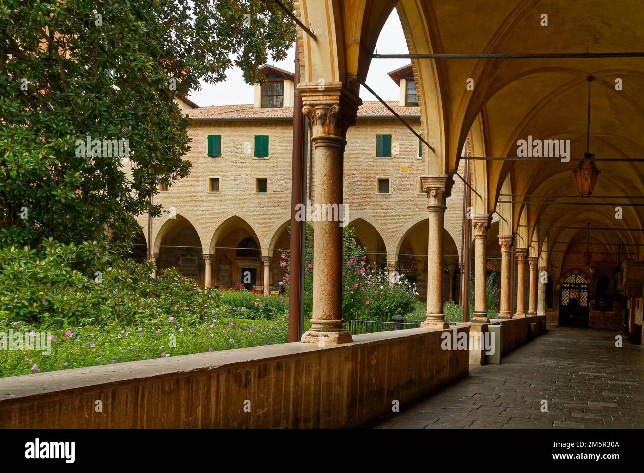 Il Chiostro della Serenissima Magnolia della Basilica di Sant'Antonio a Padova presenta archi gotici, colonne in pietra e un fiorente giardino medievale. Foto Stock