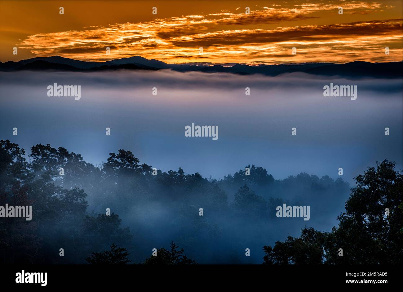 Una fotografia di una fredda alba di ottobre dalle colline ai piedi vicino al Parco Nazionale delle Great Smoky Mountains. L'aria fredda aveva costretto le nubi a scendere al gallo Foto Stock