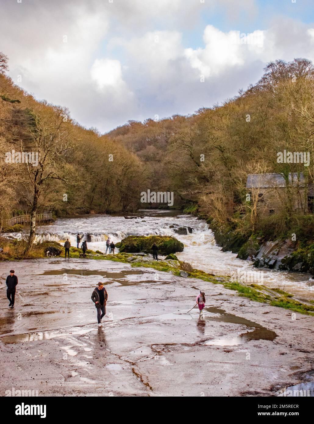 Cascate di Cenarth. Ceredigion, Galles occidentale. REGNO UNITO Foto Stock