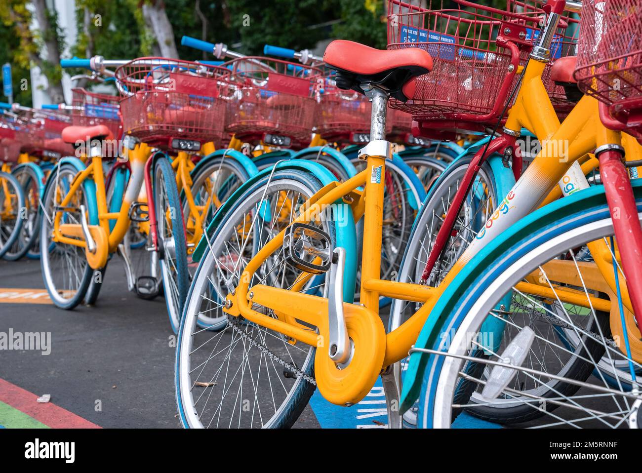 Dettaglio delle bici blu e gialle di google parcheggiate nel parcheggio del campus Foto Stock