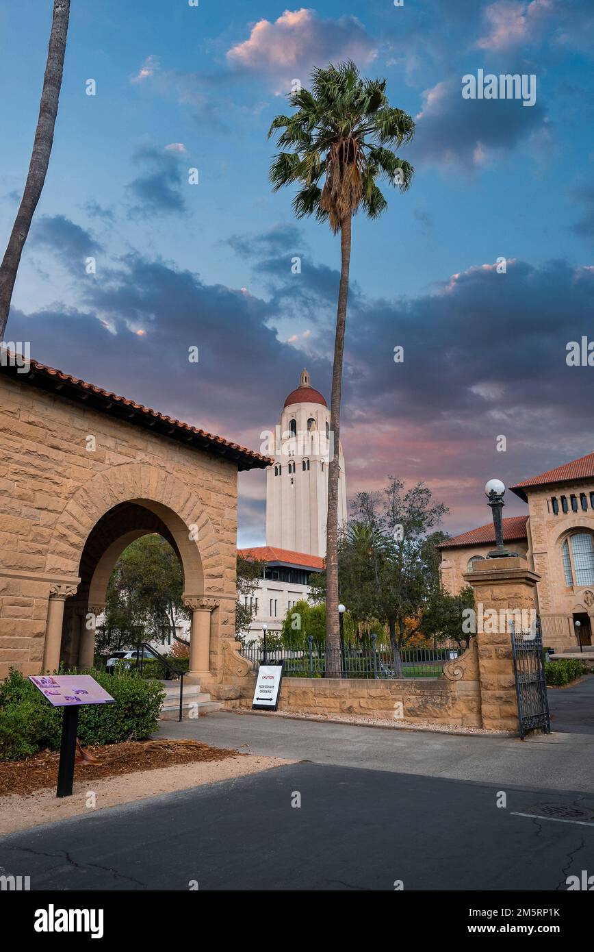 Vista in lontananza della Hoover Tower presso il campus della Stanford University a Palo Alto Foto Stock