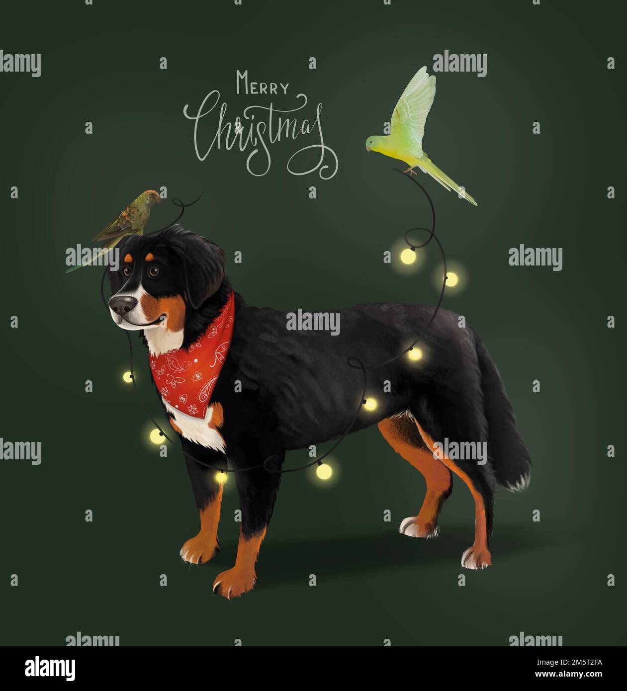 Colorato schizzo di Capodanno di cane e pappagalli. Bernese Cattle Dog o Berner Sennenhund. Splendido cane da lavoro di razza svizzera isolato Foto Stock