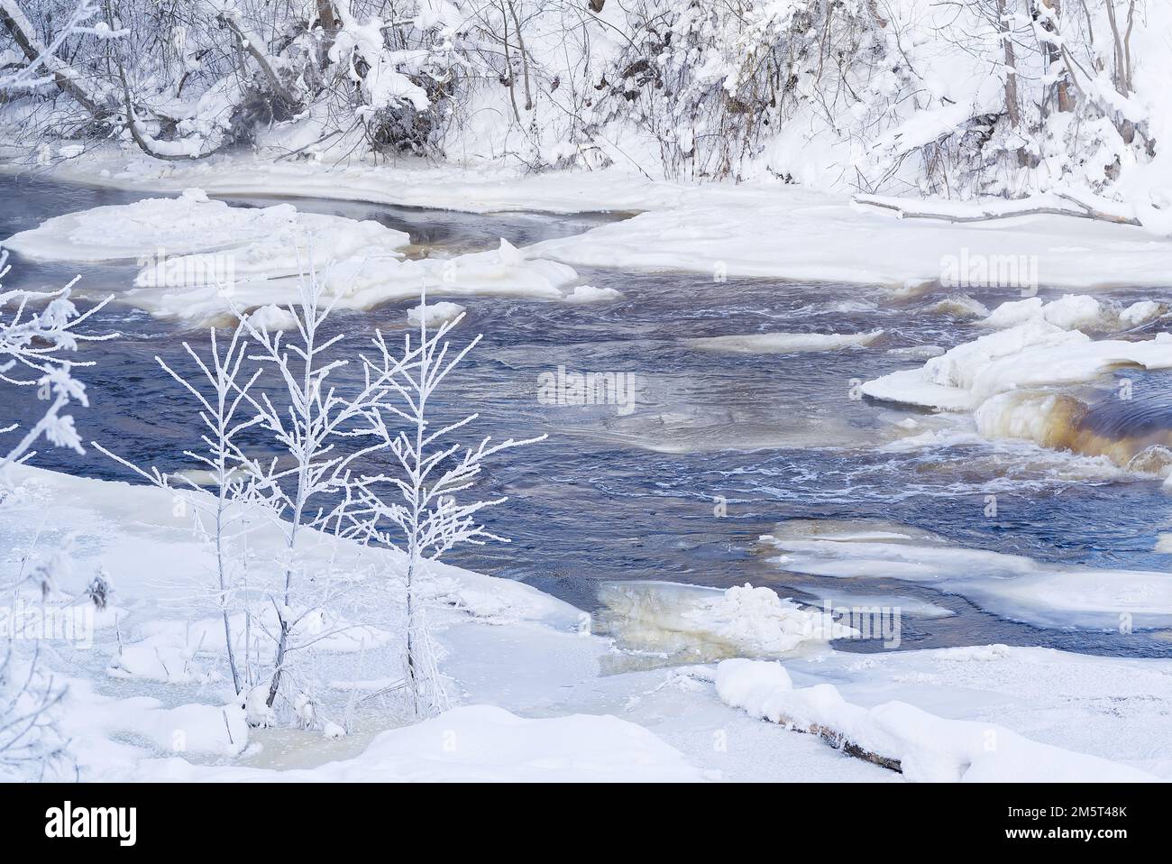 Artico, paesaggio nordico in inverno. Piccolo fiume con ghiaccio in inverno Foto Stock