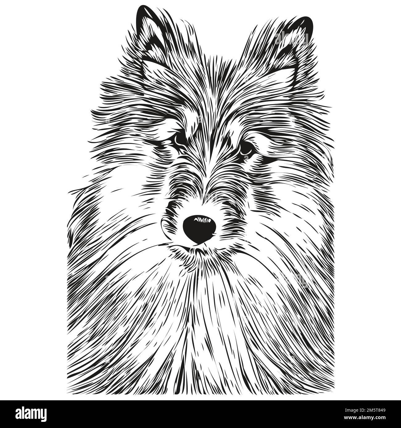 Shetland cane Sheepdog disegno a mano illustrazione, bianco e nero vettore animali da compagnia logo linea arte Illustrazione Vettoriale