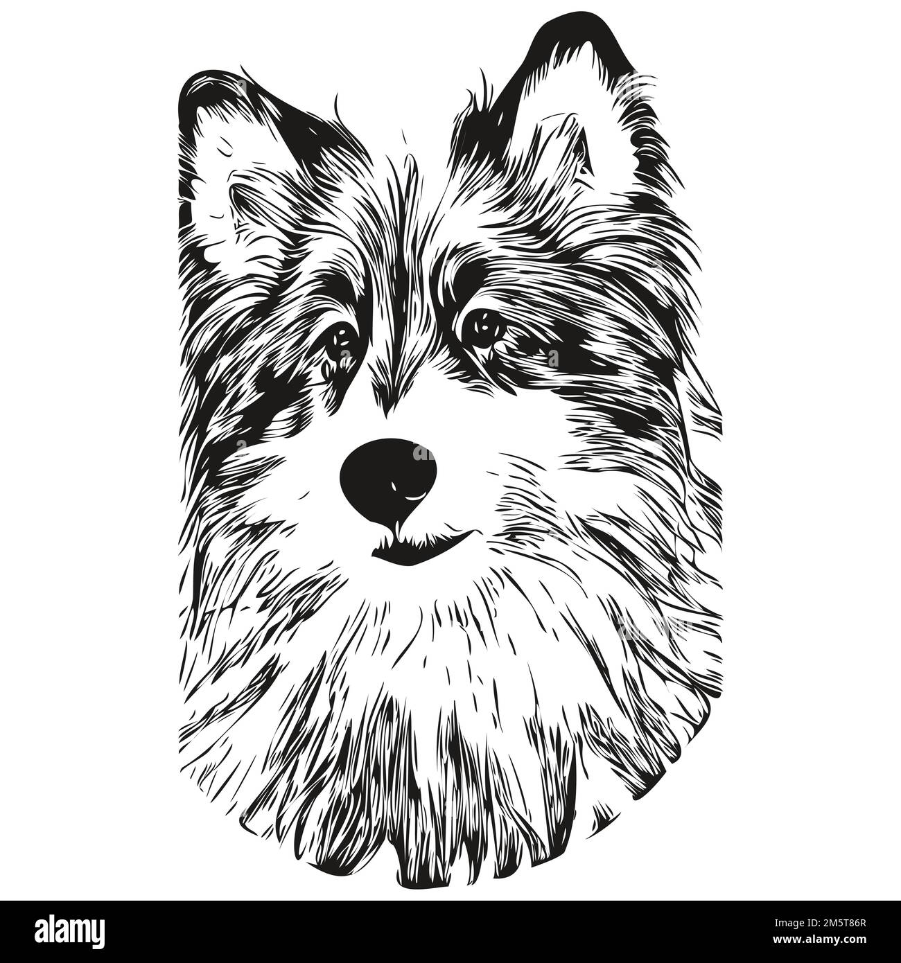 Shetland Sheepdog cane disegno a mano linea vettoriale disegno bianco e nero logo animali illustrazione Illustrazione Vettoriale