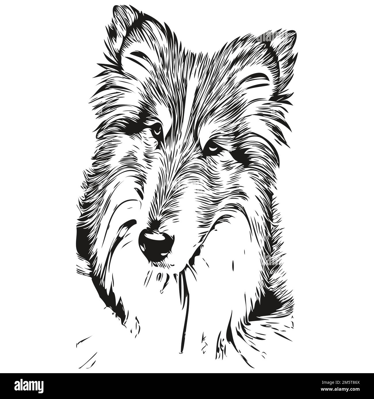 Shetland Sheepdog cane logo vettore bianco e nero, disegno a mano line art vettoriale animali da compagnia Illustrazione Vettoriale