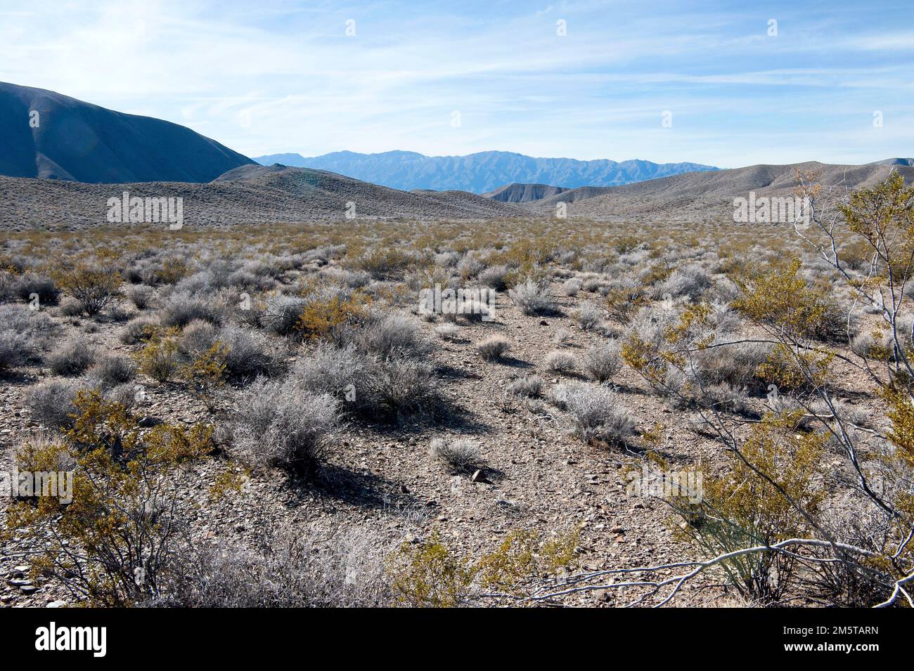 Paesaggio desertico con colline, Valle della morte, California Foto Stock