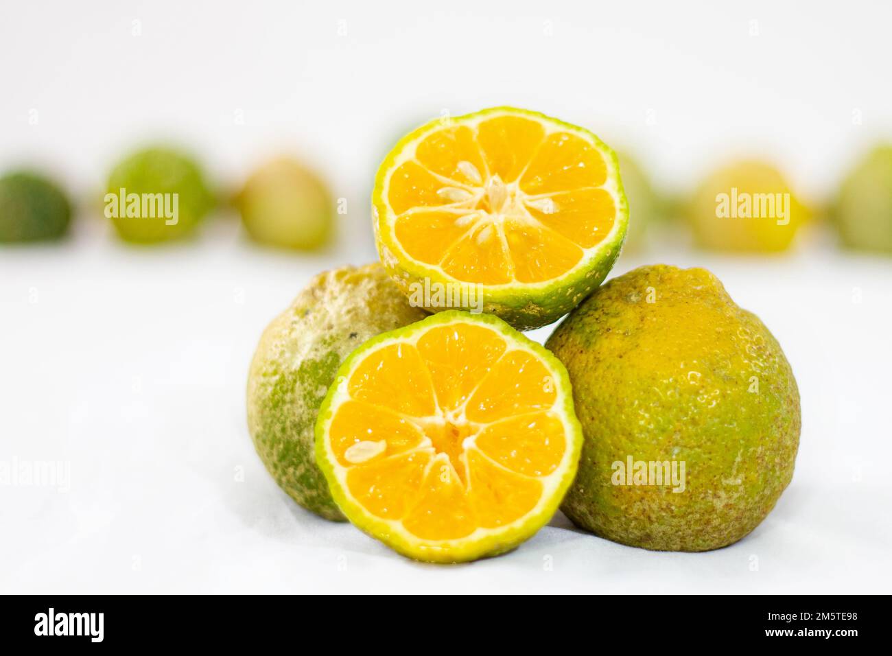 gruppo di limoni su fondo bianco Foto Stock
