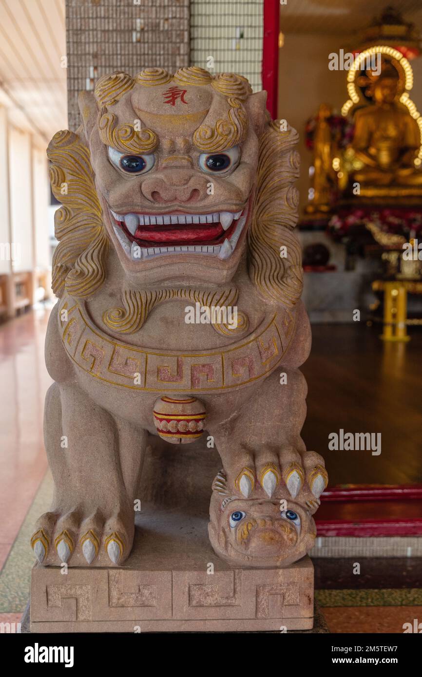 Guardian leion shishi a Wat Kuson Samakhon o Chua Pho Phuok, tempio buddista vietnamita. Chinatown, Bangkok, Thailandia. Foto Stock