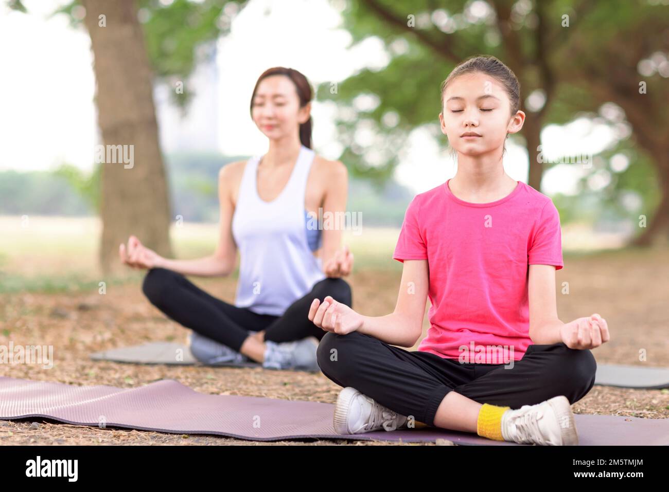 Madre e figlia che fanno esercizi di yoga sull'erba nel parco Foto Stock