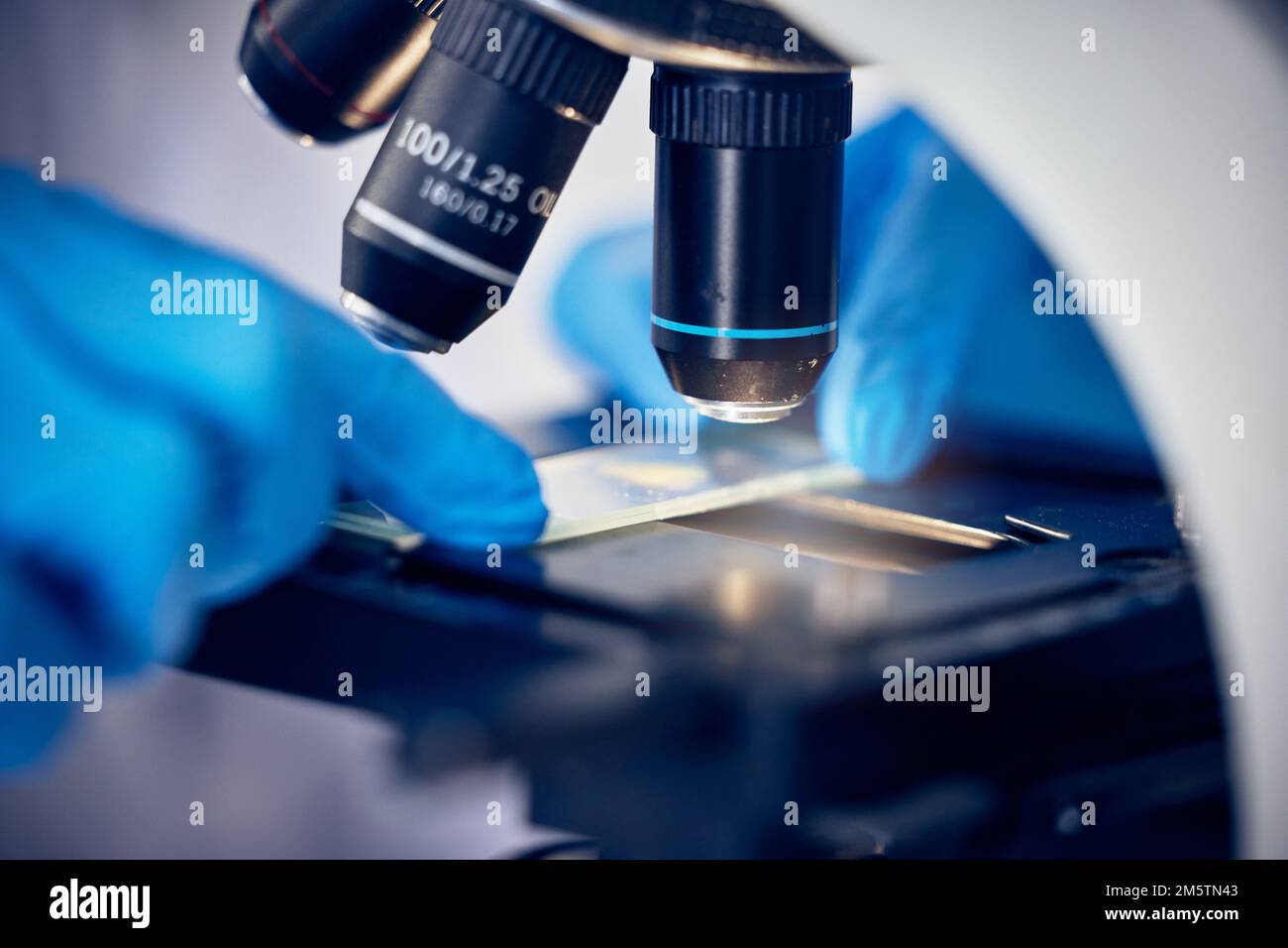 Microscopio, batteri o mani che lavorano in un laboratorio scientifico o chimico per la futura innovazione sanitaria. Ricerca, biotecnologia o scienziato Foto Stock