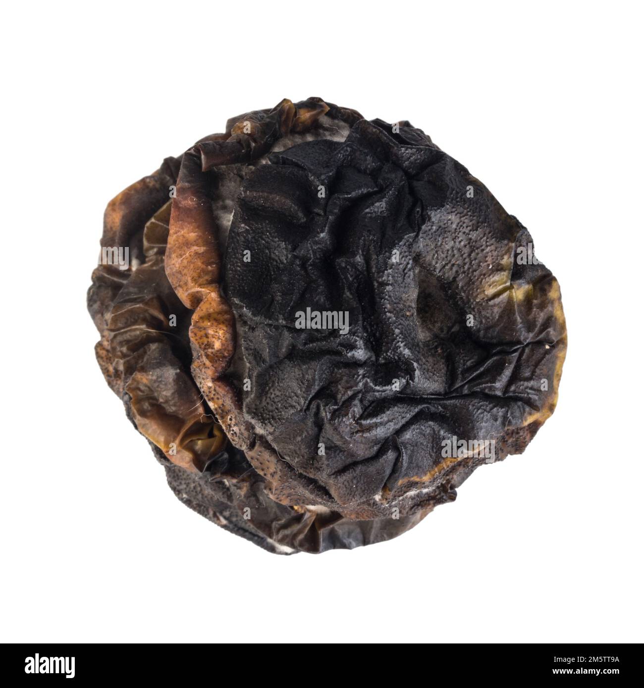 marciume della fetta di mela isolato su sfondo bianco. Foto Stock