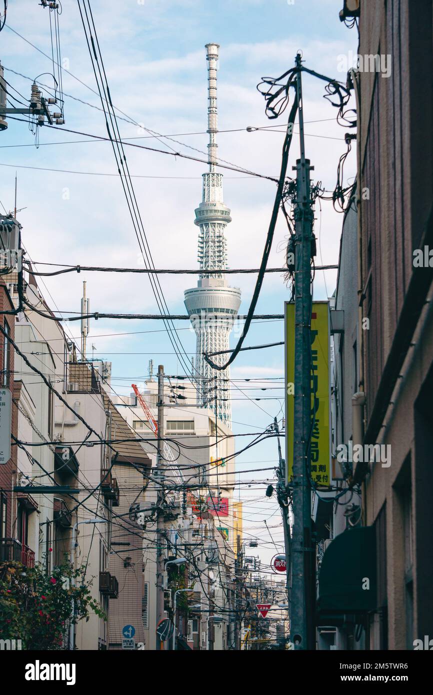 Vista dell'iconica torre Skytree dal centro di Tokyo Foto Stock